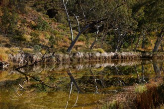 Outback Australia Photos